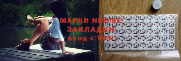 прущие грибы Осташков