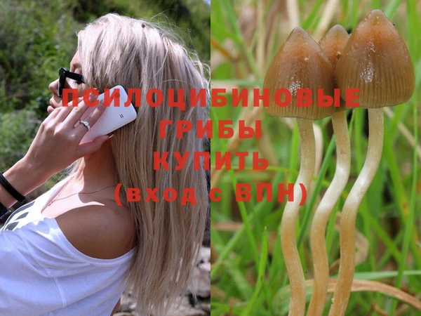 прущая мука Осинники