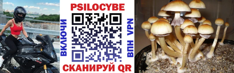 закладки  Хотьково  Галлюциногенные грибы Magic Shrooms 